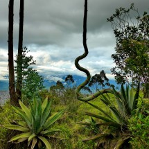 Las Pichinchas, Laguna Yahuarcocha and southern Pacific coast